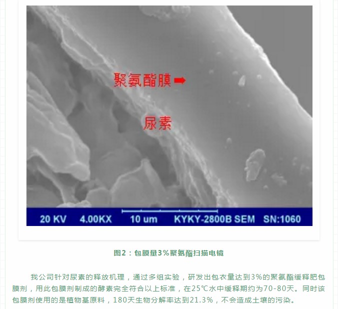 聚氨酯緩釋肥的釋放機(jī)理